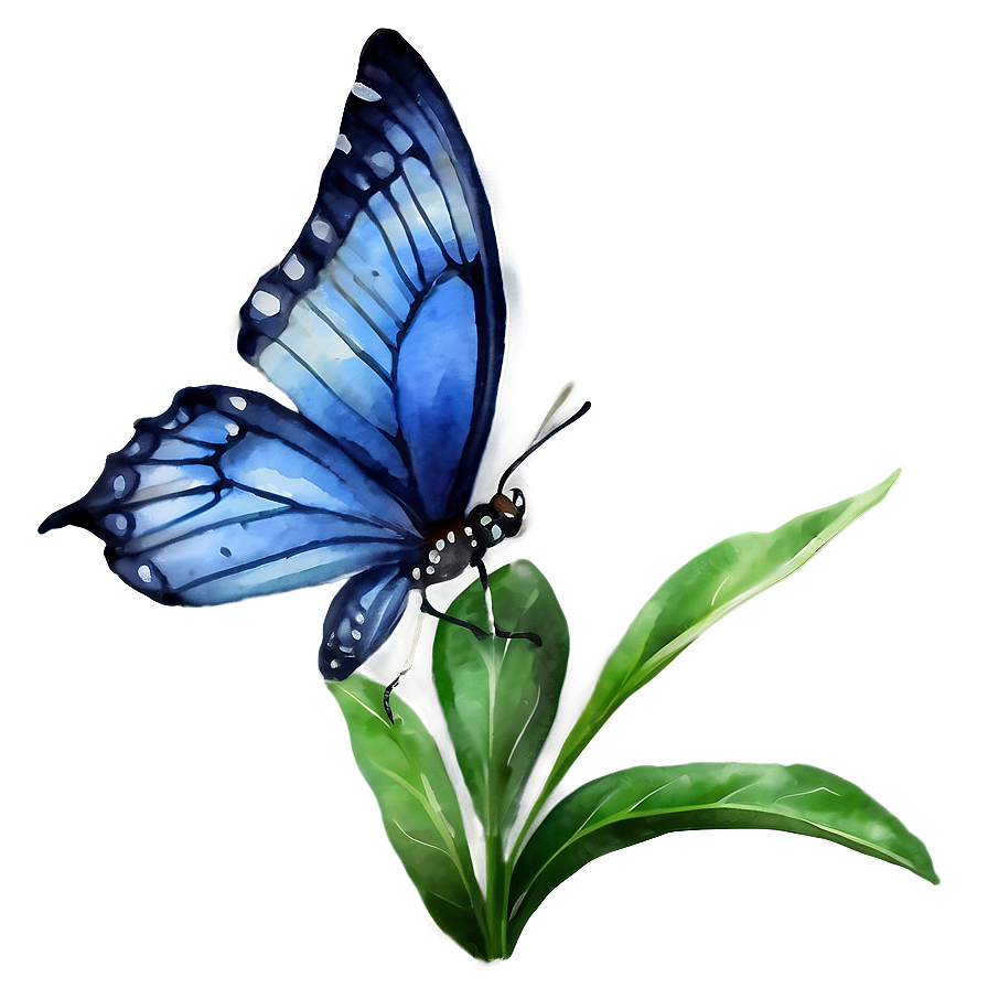 Watercolor Blue Butterfly Png 05212024 PNG image