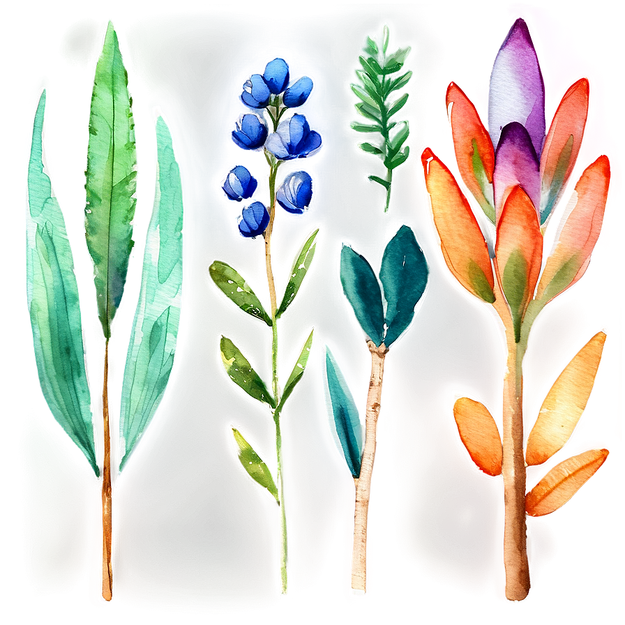 Watercolor Botanicals Clipart Png Pmb13 PNG image