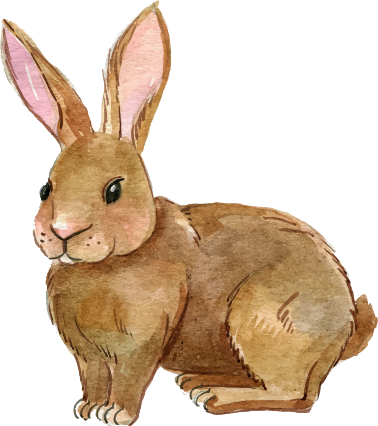 Watercolor Brown Rabbit Illustration PNG image