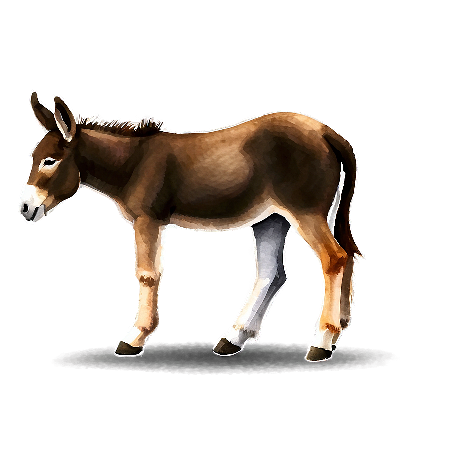 Watercolor Donkey Png 97 PNG image