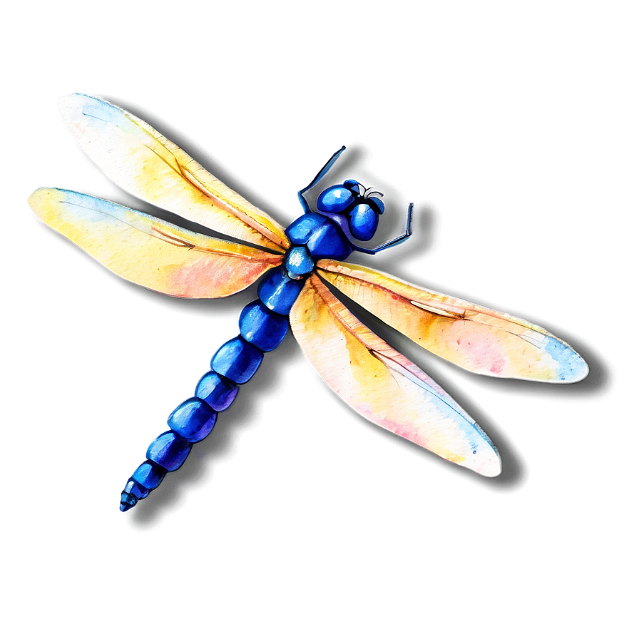 Watercolor Dragonfly Png 05212024 PNG image