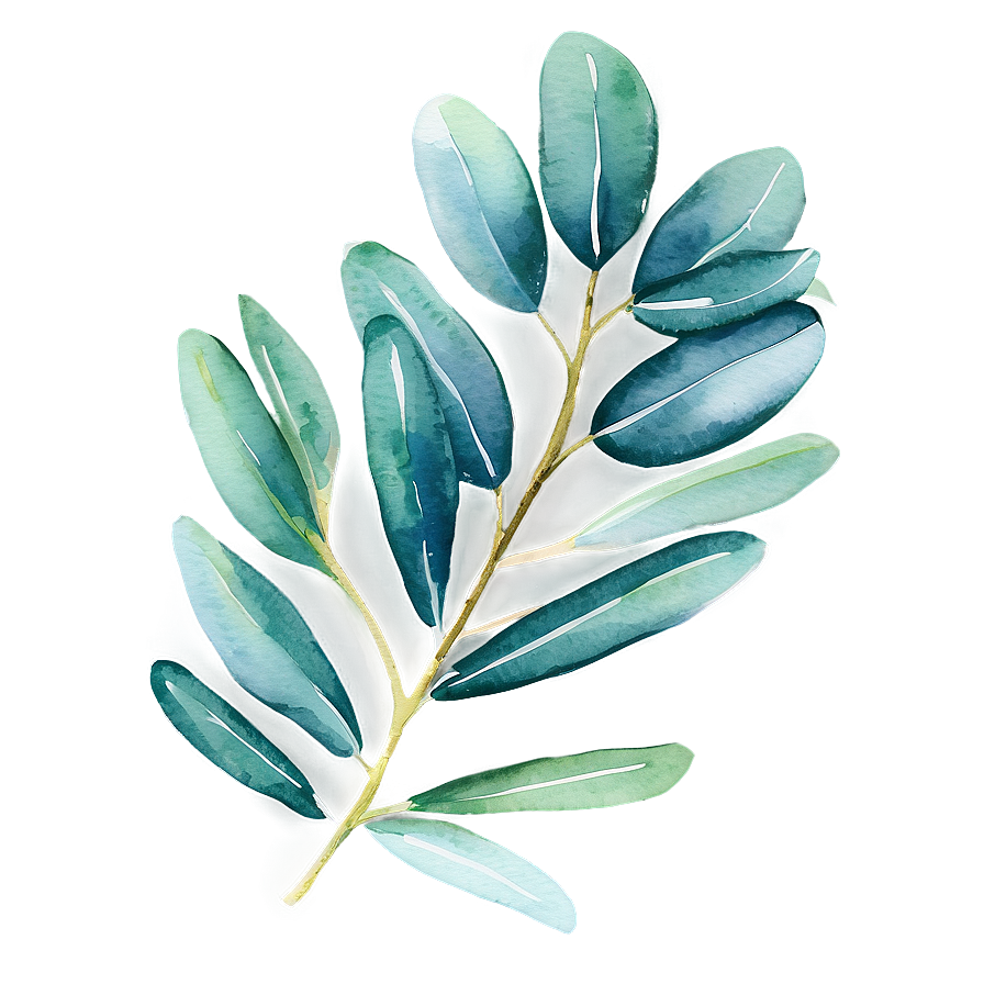 Watercolor Eucalyptus Leaves Png 05242024 PNG image