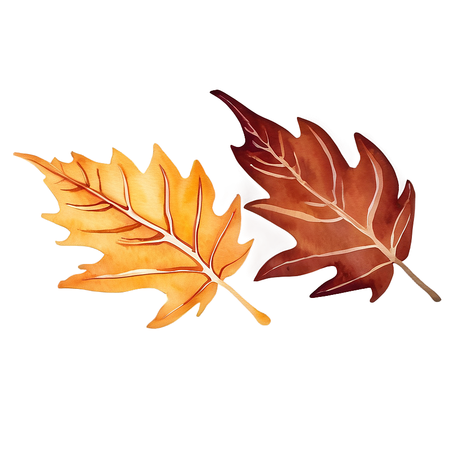 Watercolor Fall Leaves Png 05042024 PNG image