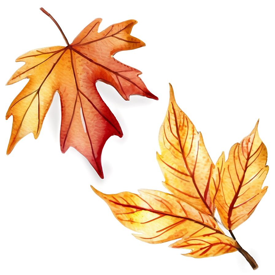 Watercolor Fall Leaves Png 87 PNG image
