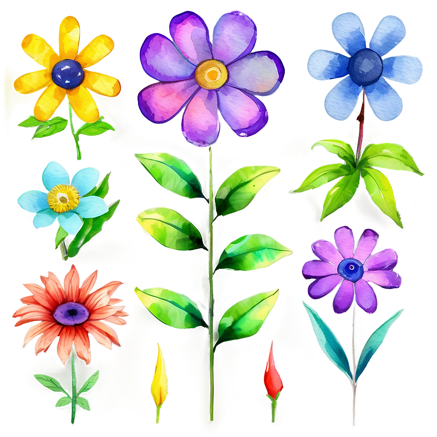 Watercolor Floral Clipart Png 05062024 PNG image