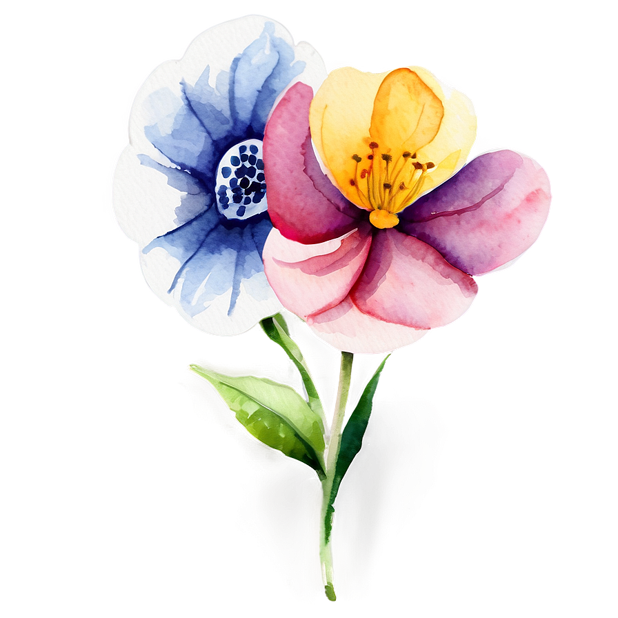 Watercolor Flower Essence Png 36 PNG image