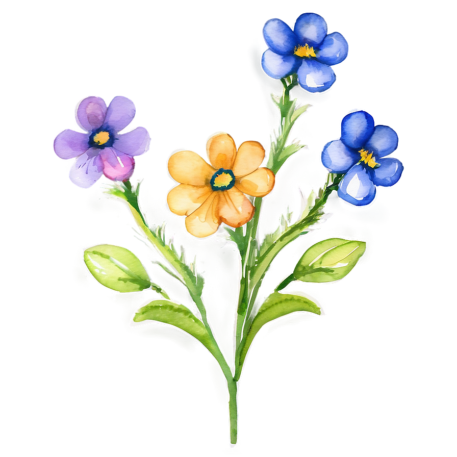 Watercolor Flower Transparent Png 05252024 PNG image