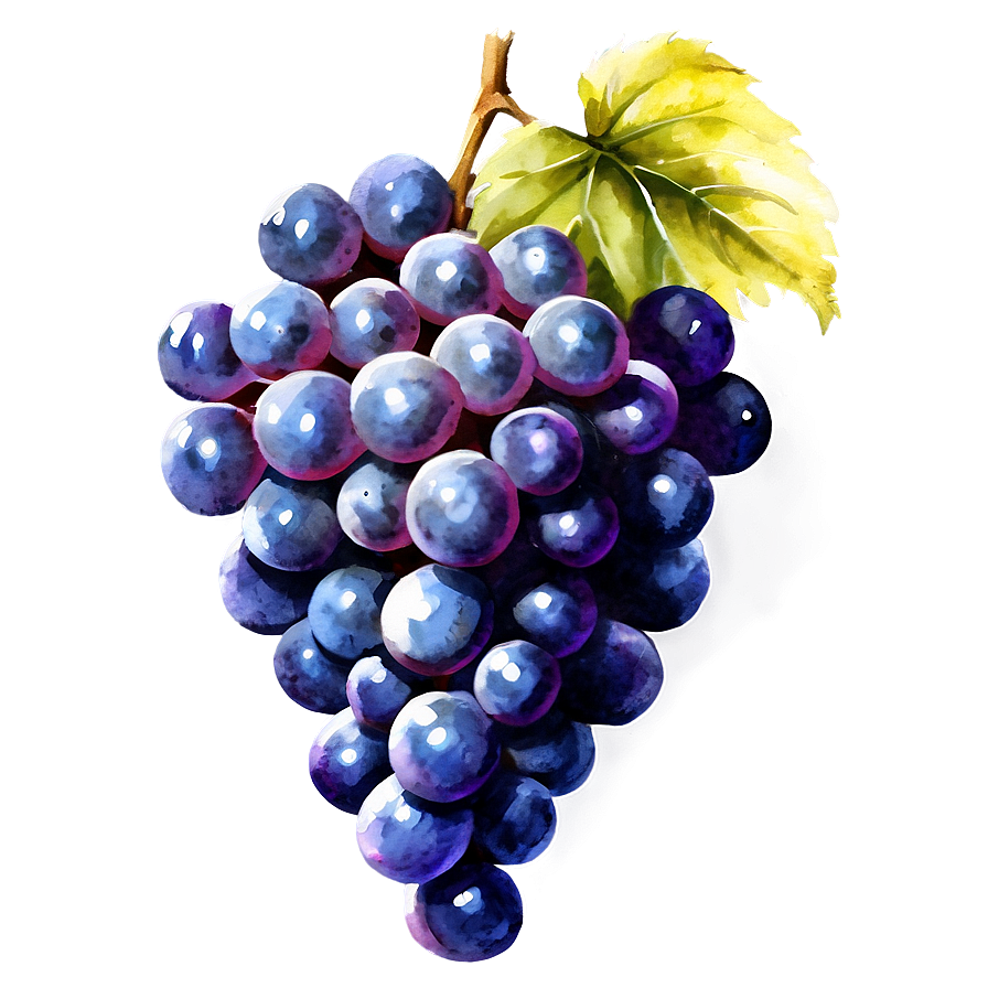 Watercolor Grapes Png 8 PNG image