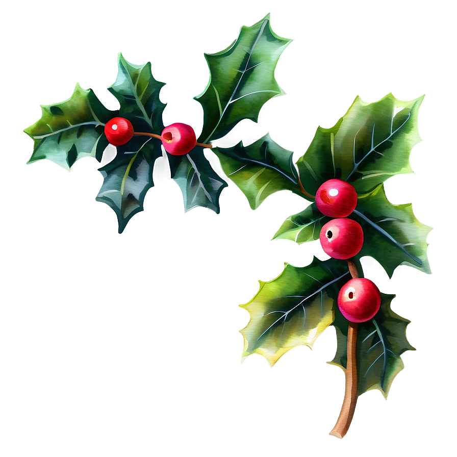 Watercolor Holly Png 64 PNG image