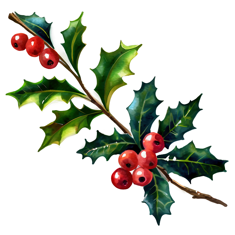 Watercolor Holly Png Ati PNG image