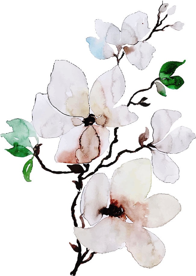 Watercolor Jasmine Branch Artwork PNG image