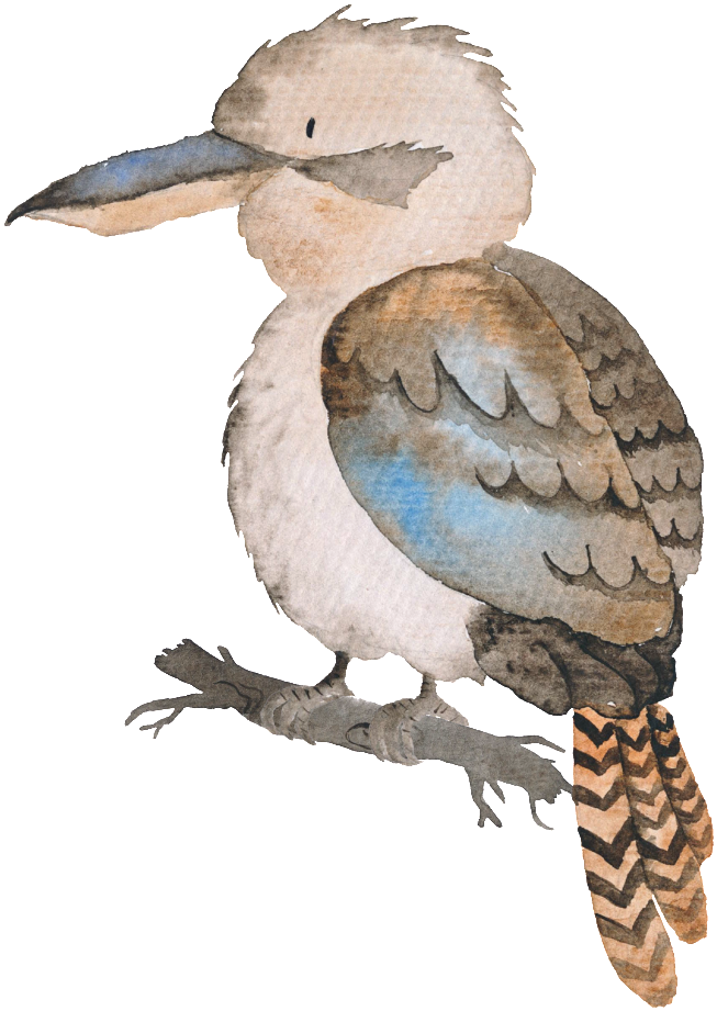 Watercolor Kookaburra Illustration PNG image