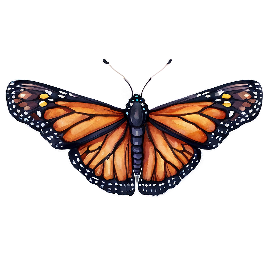 Watercolor Monarch Butterfly Png Lbu PNG image