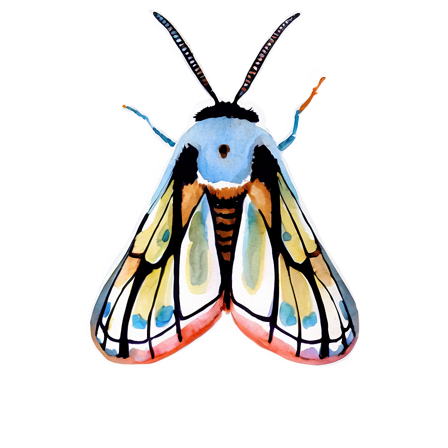 Watercolor Moth Png 05242024 PNG image