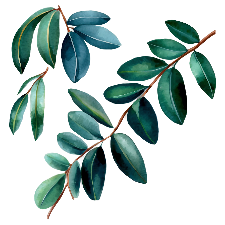 Watercolor Painted Eucalyptus Png Til57 PNG image