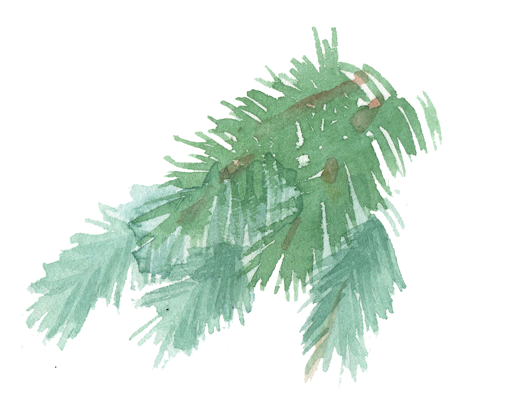 Watercolor Palm Leaves Illustration PNG image