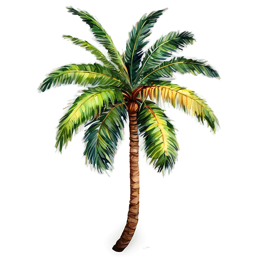Watercolor Palm Tree Png Frt PNG image