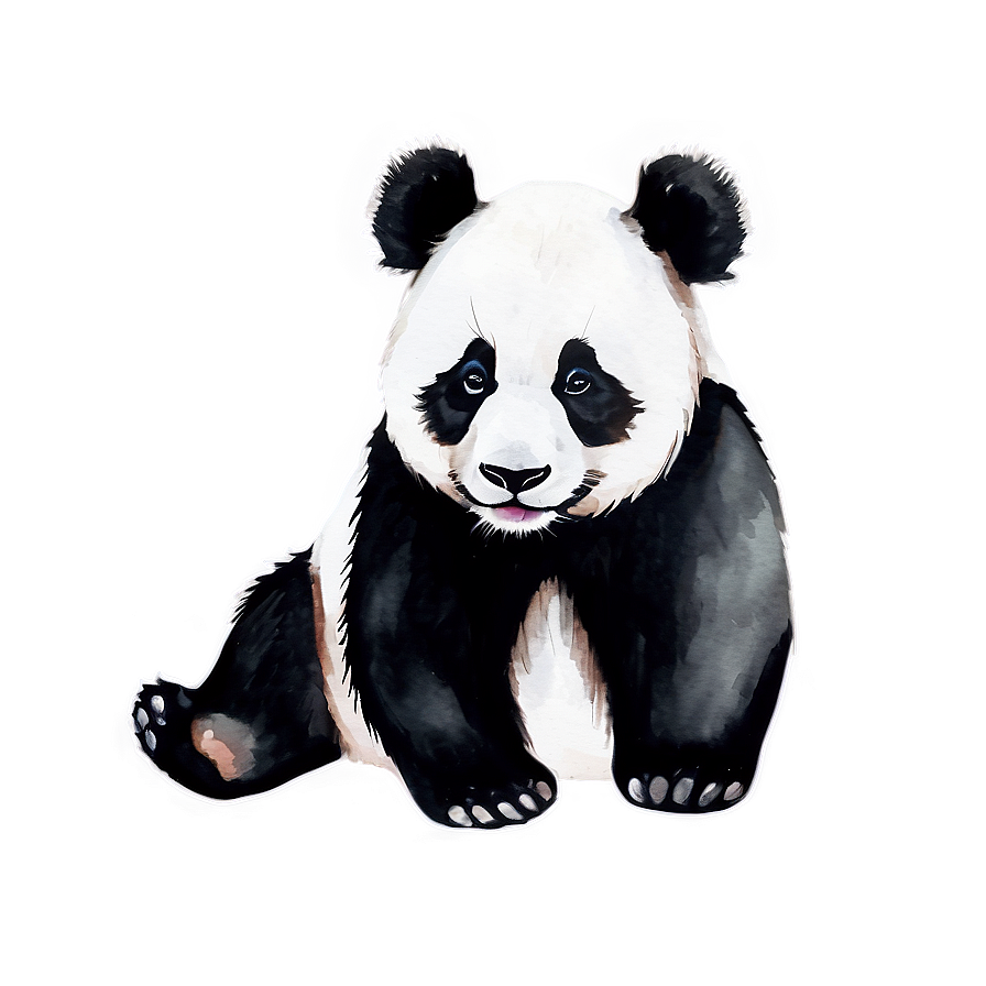 Watercolor Panda Art Png 05062024 PNG image