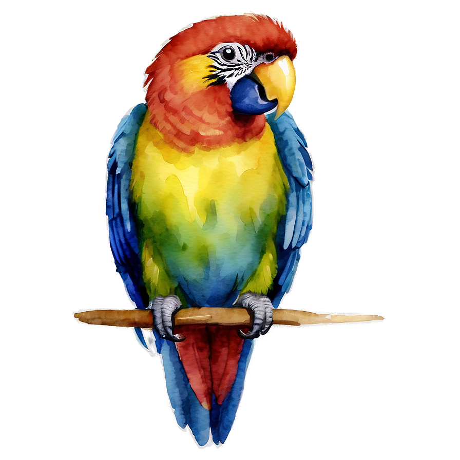 Watercolor Parrot Png Bmk PNG image