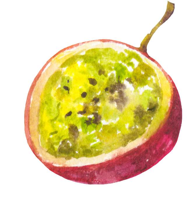 Watercolor Passion Fruit Slice PNG image
