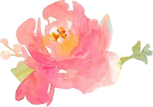 Watercolor Peony Floral Artwork PNG image