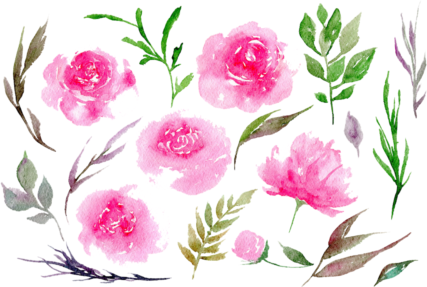 Watercolor Peony Floral Composition PNG image
