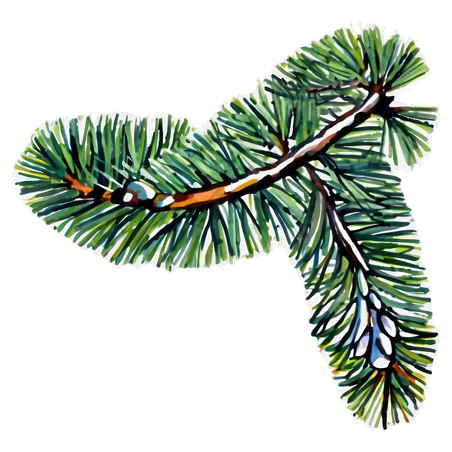 Watercolor Pine Branch Png 13 PNG image