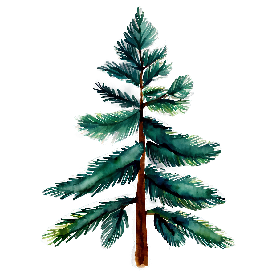 Watercolor Pine Trees Png Njk79 PNG image