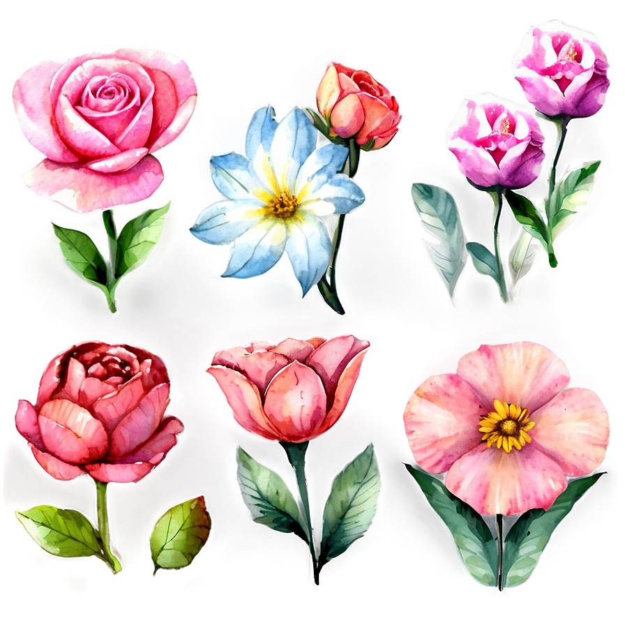 Watercolor Pink Flowers Png 05242024 PNG image