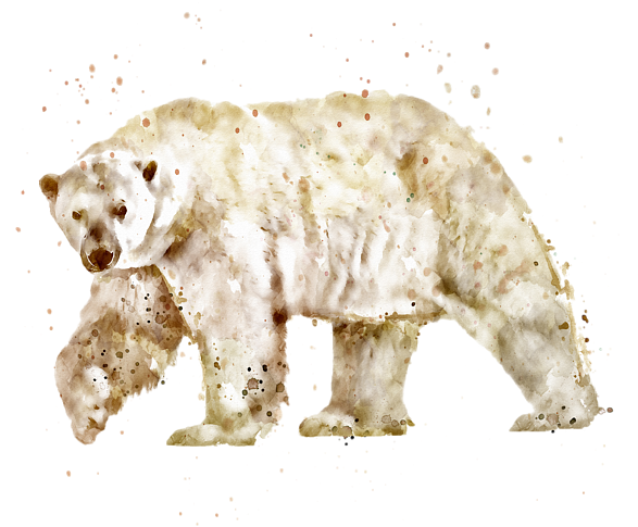 Watercolor Polar Bear Illustration PNG image