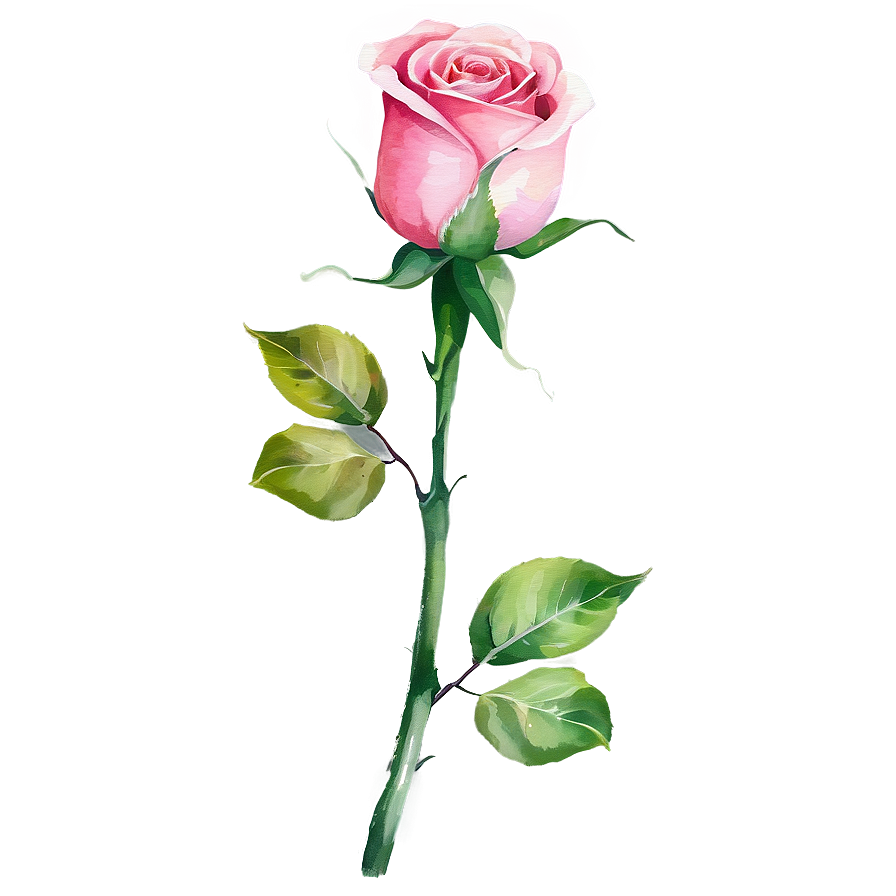 Watercolor Rose Vector Png 06262024 PNG image