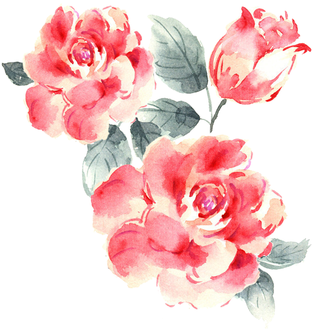 Watercolor Roses Illustration PNG image