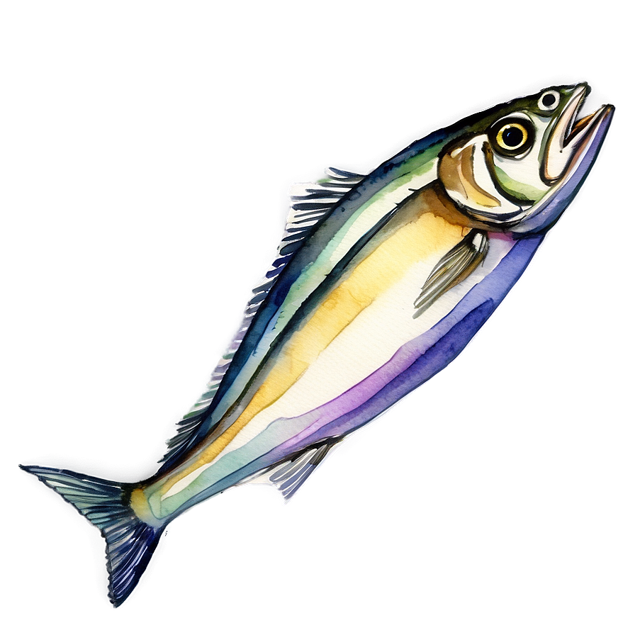 Watercolor Sardine Png 63 PNG image