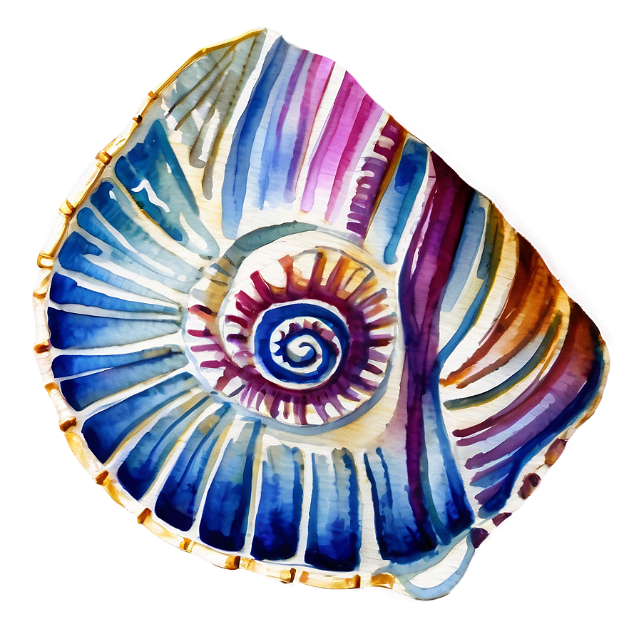 Watercolor Seashell Clipart Png Gfy PNG image