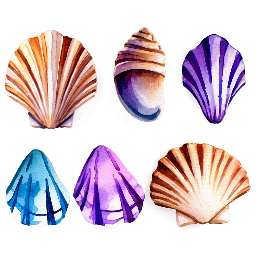 Watercolor Seashells Png 06132024 PNG image