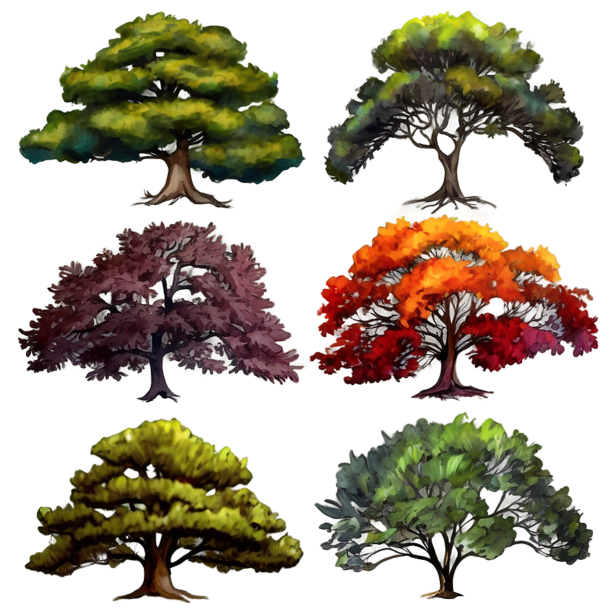 Watercolor Seasonal Trees Png Vuk5 PNG image