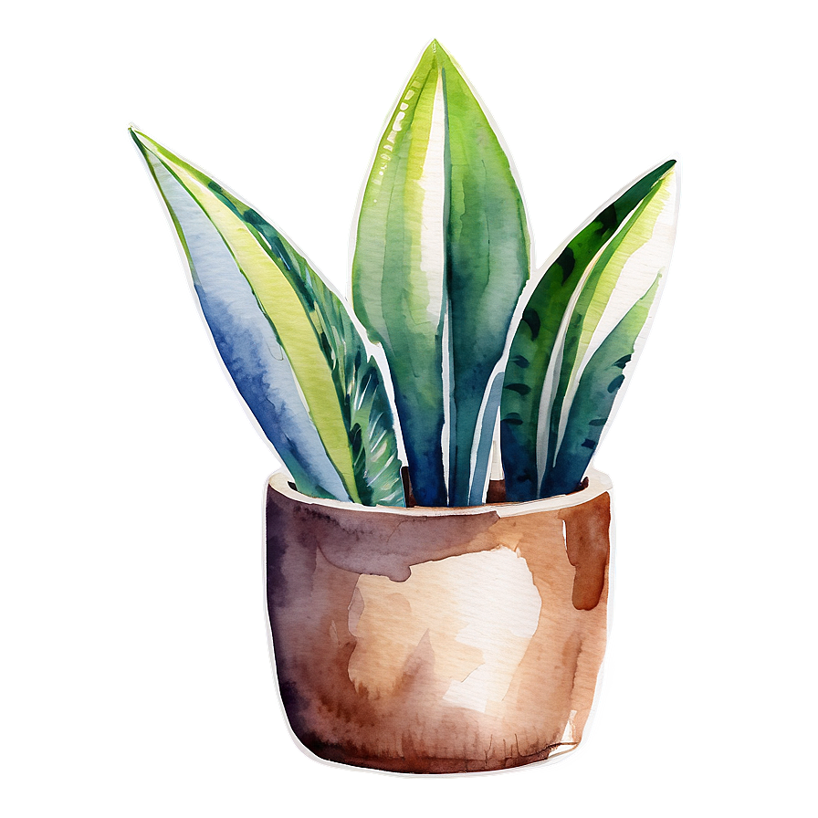 Watercolor Snake Plant Png Lms PNG image