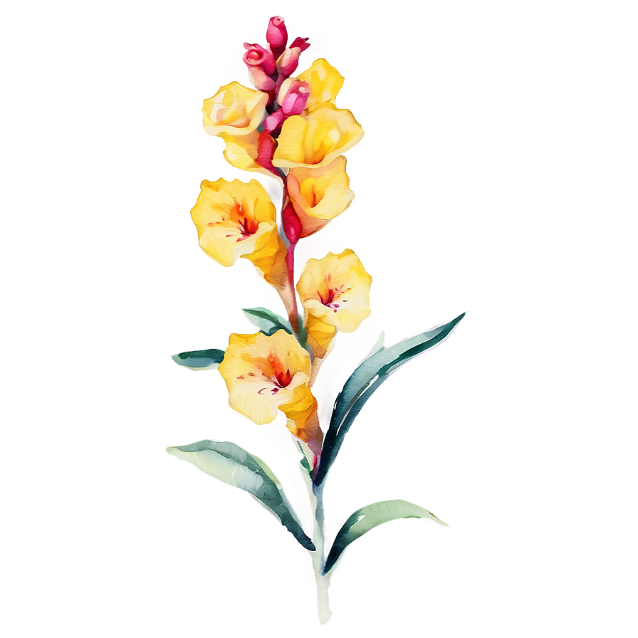 Watercolor Snapdragon Flowers Png 05252024 PNG image