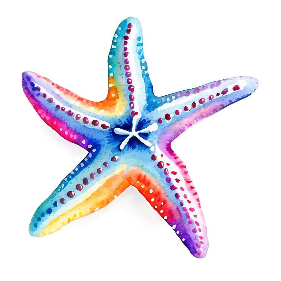 Watercolor Starfish Art Png 05242024 PNG image