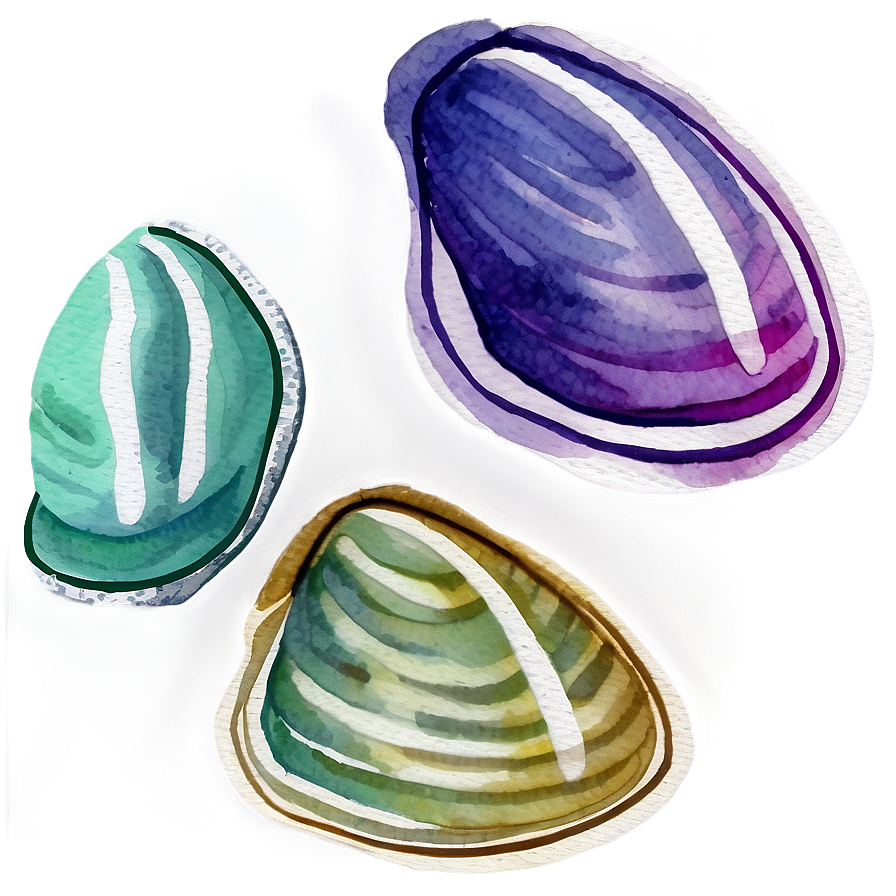 Watercolor Style Clam Png 05242024 PNG image