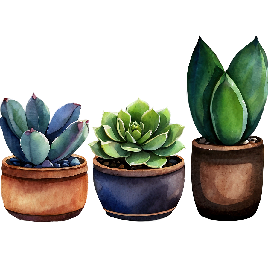 Watercolor Succulent Png Hhi PNG image