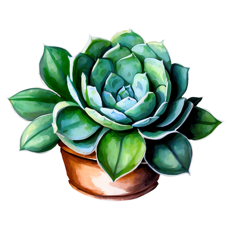 Watercolor Succulents Art Png 70 PNG image