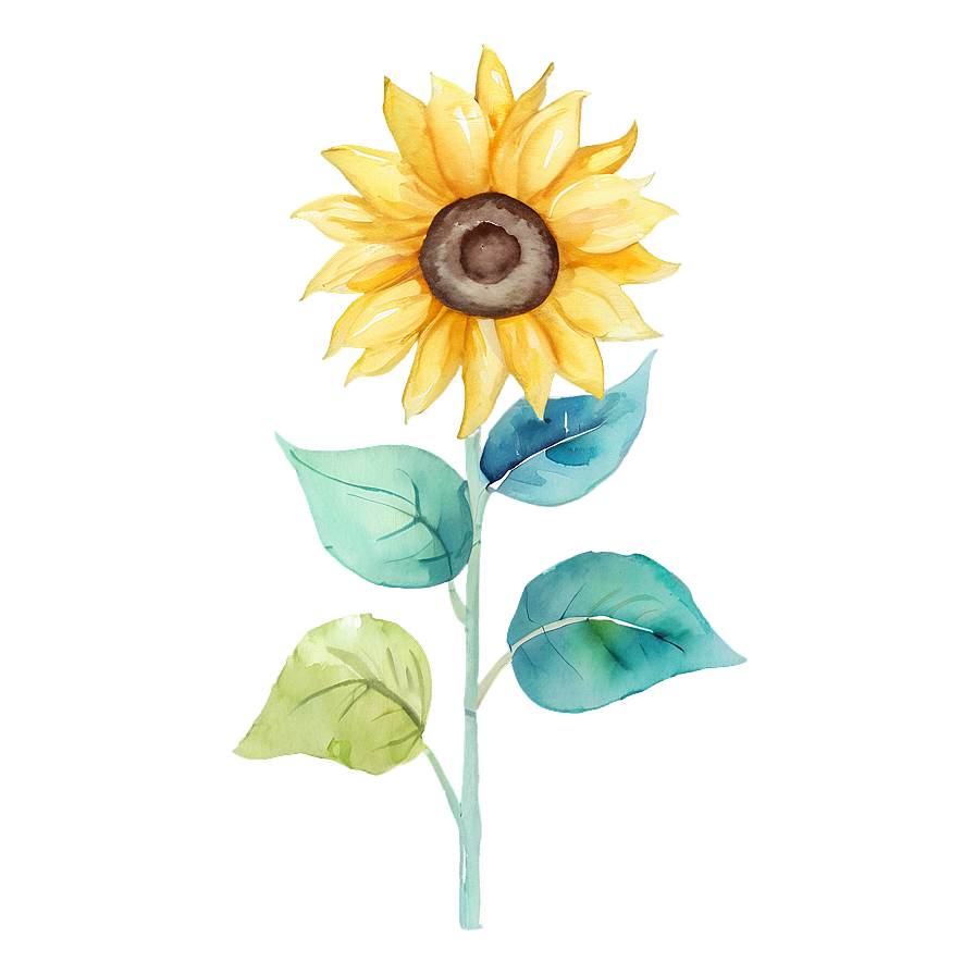 Watercolor Sunflower Artwork Design Png 81 PNG image