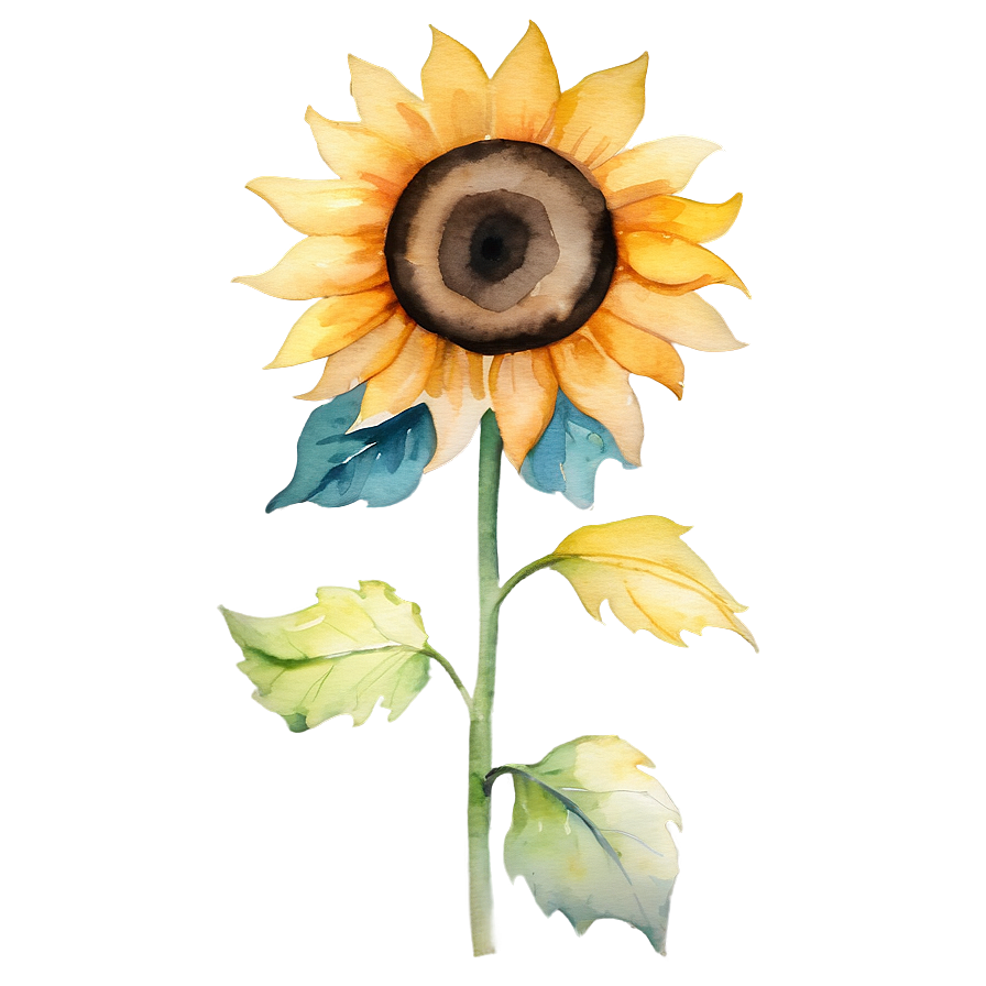 Watercolor Sunflower Transparent Png 58 PNG image