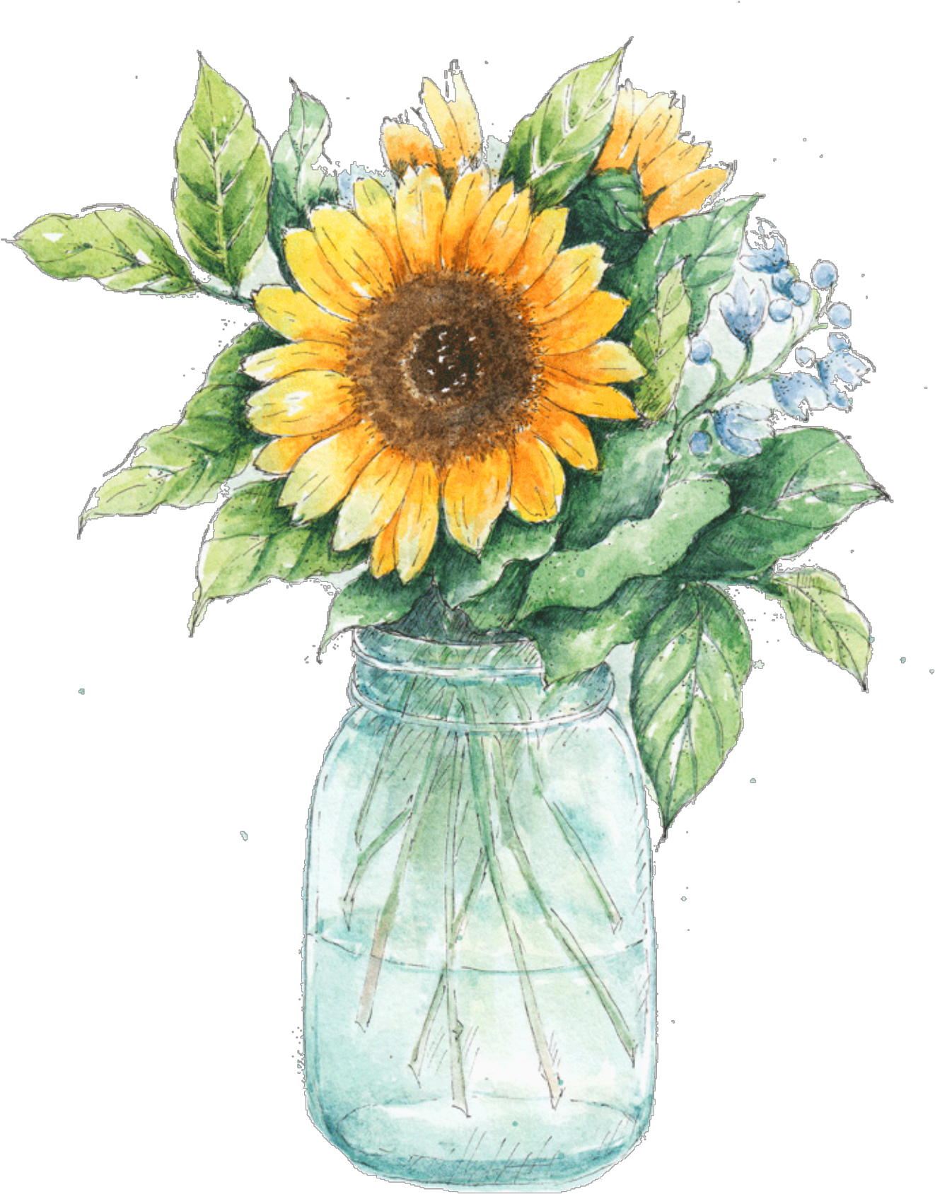 Watercolor Sunflowersin Mason Jar PNG image