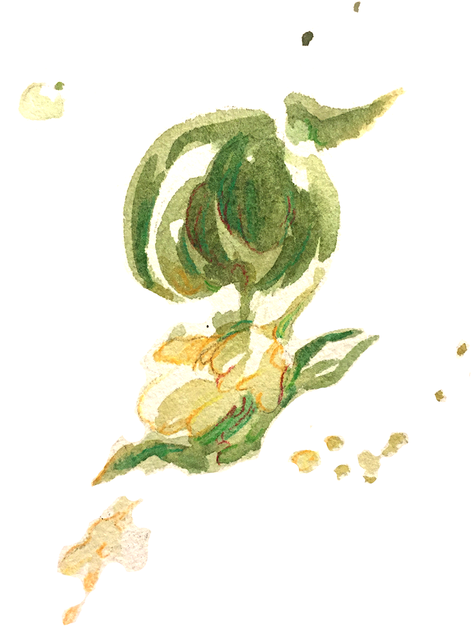 Watercolor Tea Leaves Artwork PNG image