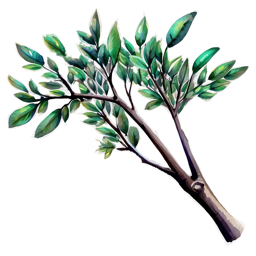 Watercolor Tree Branch Png 05252024 PNG image