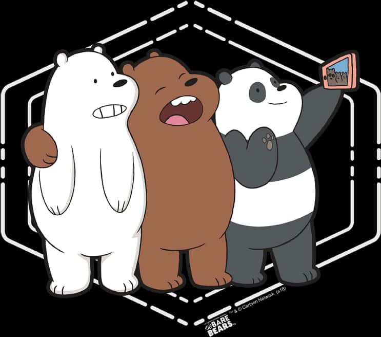 We Bare Bears Selfie Time PNG image