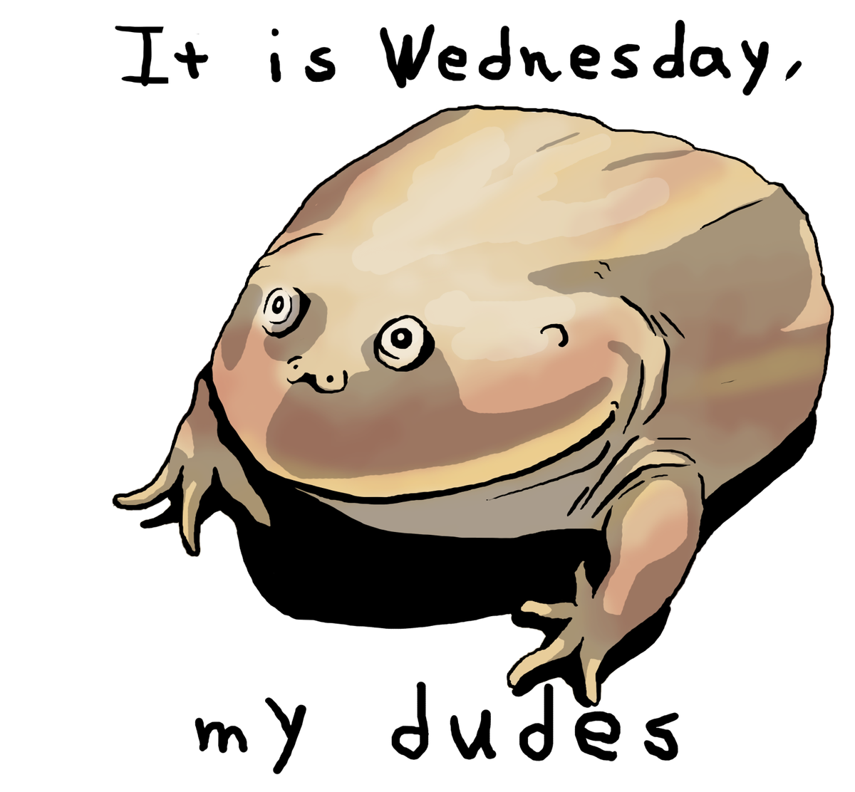 Wednesday Frog Meme PNG image