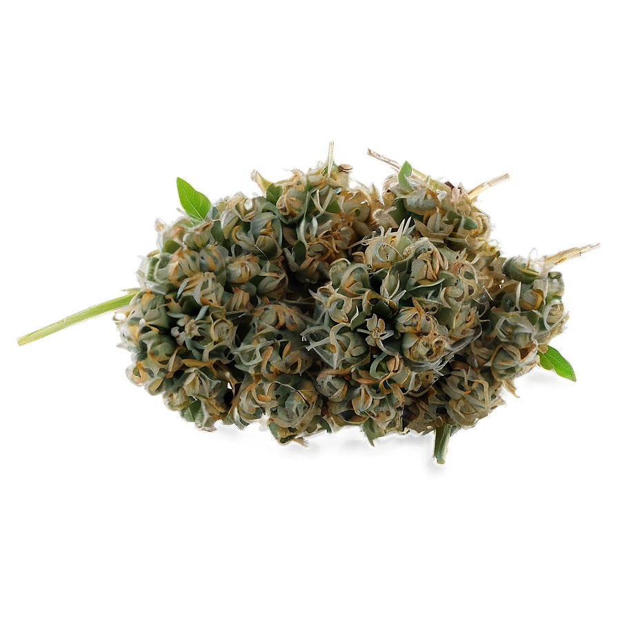 Weed A PNG image